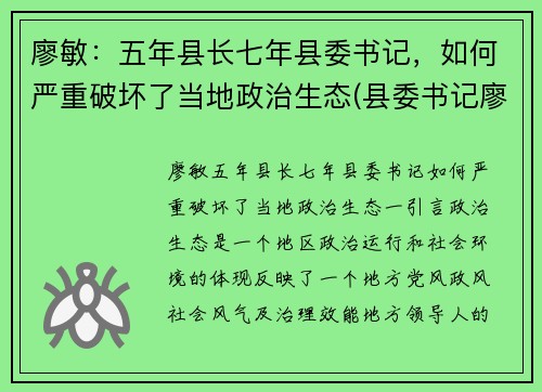 廖敏：五年县长七年县委书记，如何严重破坏了当地政治生态(县委书记廖卓文)